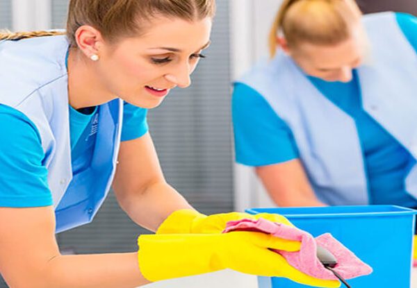 aydin ev temizliği aydin ev temizliği